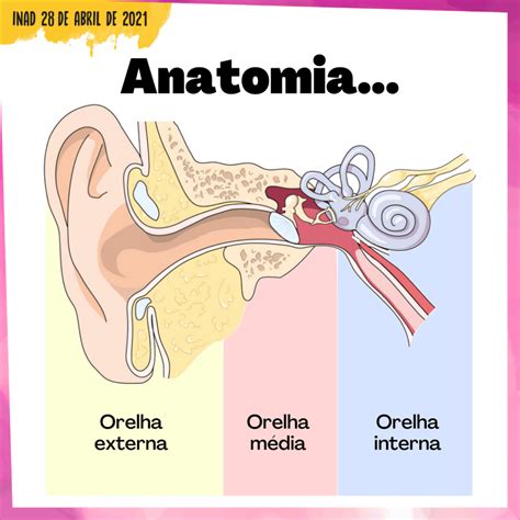 tudo sobre audição.